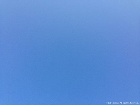 2014.10.30 昭和記念公園
