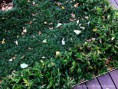 /album/autumn2014/img-3115-jpg/