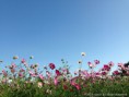 /album/autumn2014/img-3217-jpg/